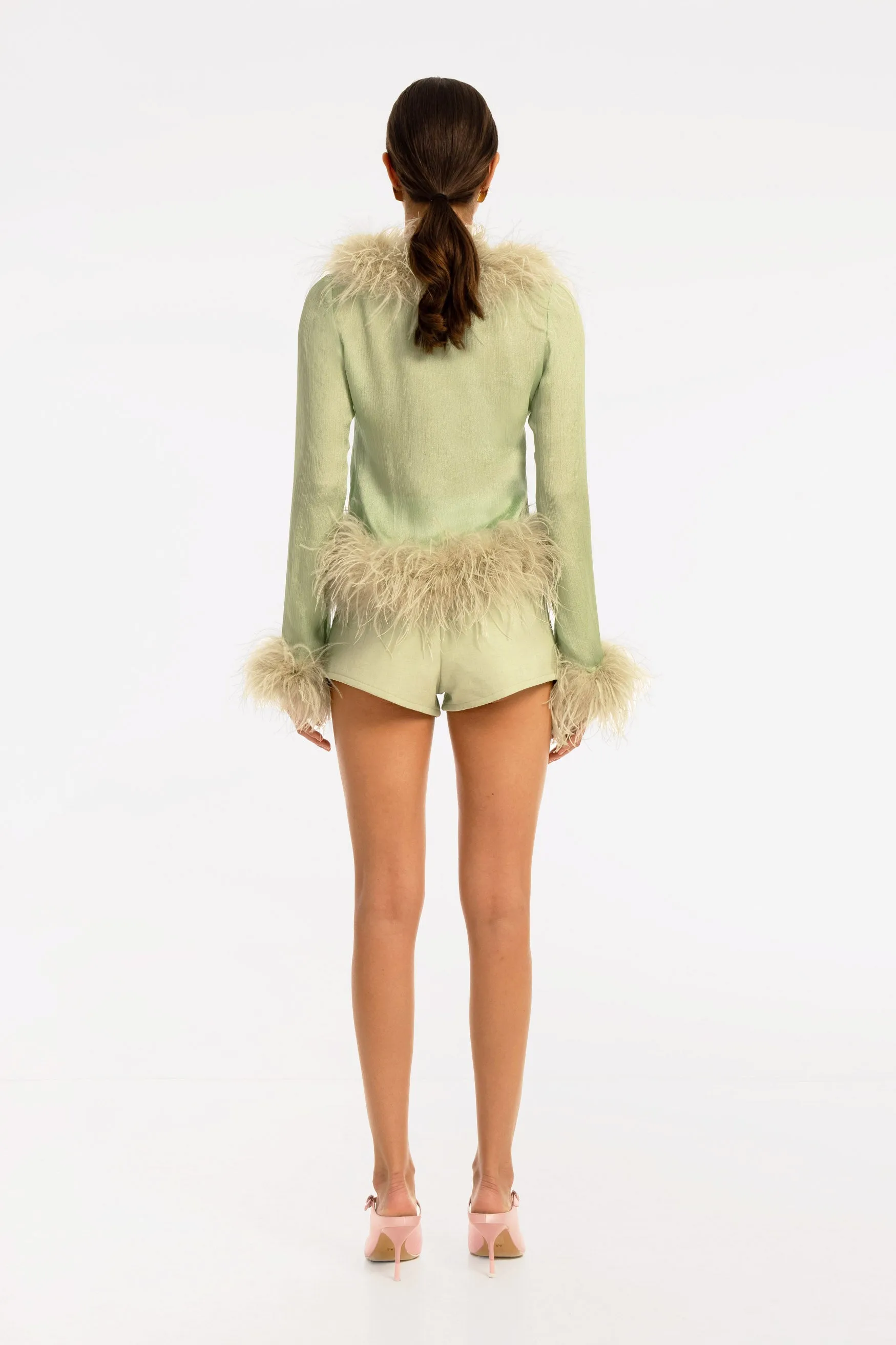 Gigi Sheer Feather Blouse - Pistachio
