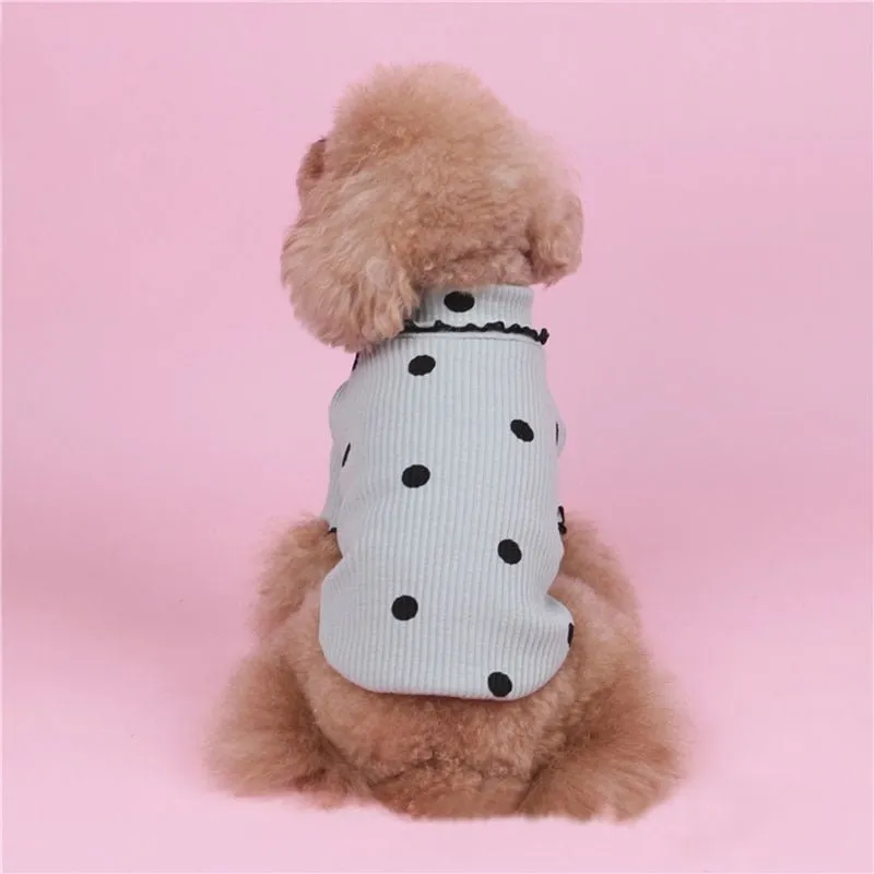 Polka Dot Cotton Sweater