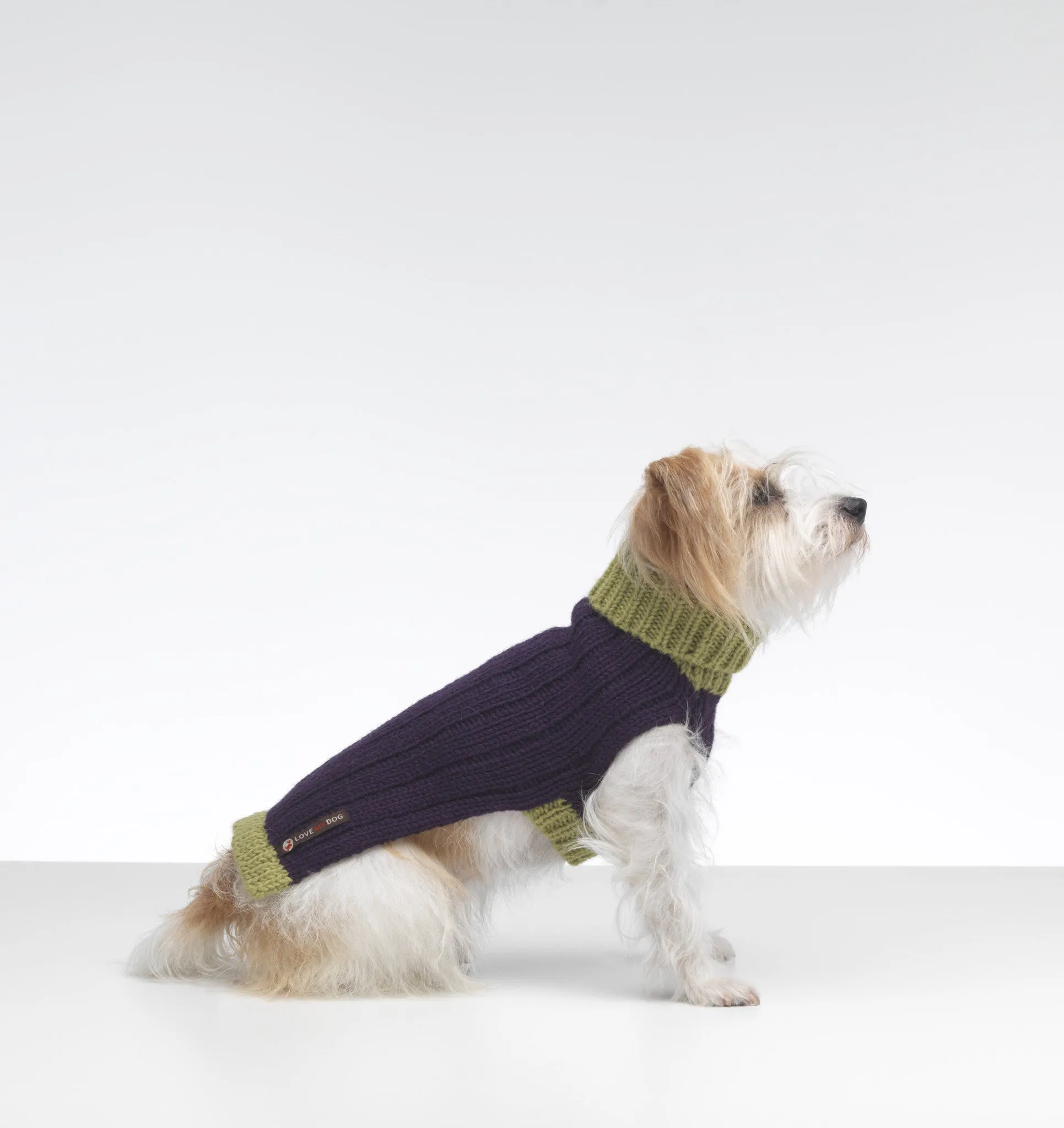 Rydon Dog Jumper (Purple/Lime)
