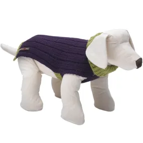 Rydon Dog Jumper (Purple/Lime)
